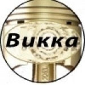 Логотип группы Волейбольная команда Викка